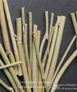 Brins de fenouil - Les épices curieuses