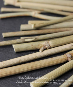 Brins de fenouil - Les épices curieuses