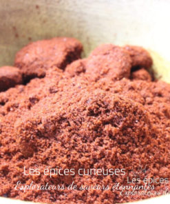 Piment Chipotle en Poudre - Les épices curieuses