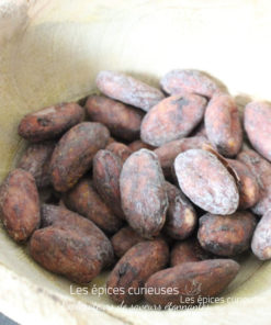 Fèves de cacao Trinitario premium - Les épices curieuses