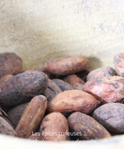 Fèves de cacao Criollo - Les épices curieuses