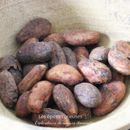 Fèves de cacao Criollo - Les épices curieuses