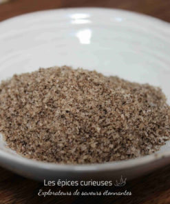 Bol blanc avec un mélange de sel aux truffes. Assaisonnement gourmet pour rehausser vos plats.