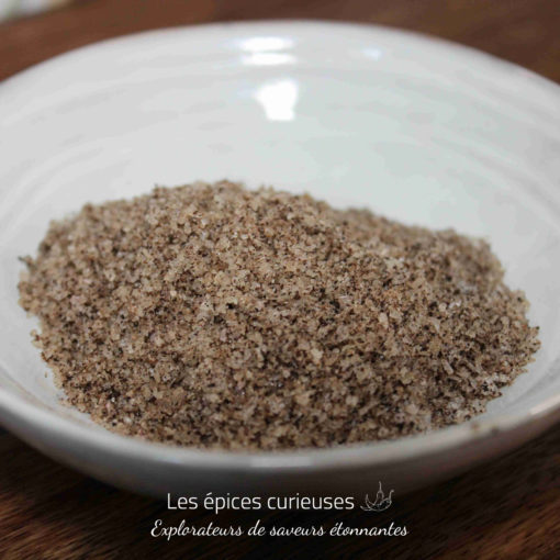 Bol blanc avec un mélange de sel aux truffes. Assaisonnement gourmet pour rehausser vos plats.