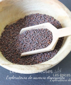 Graines de moutarde noir - Les épices curieuses