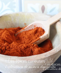 Bol en bois rempli d'épices rouges avec une cuillère, fond coloré.