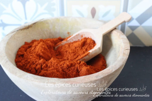 Bol en bois rempli d'épices rouges avec une cuillère, fond coloré.