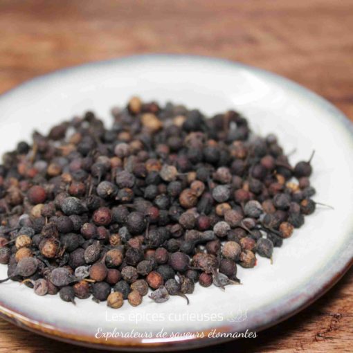Graines de maniguette sur assiette blanche, épice exotique pour relever vos plats avec une touche poivrée unique.