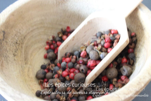 Assemblage Poivrillade - Les épices curieuses