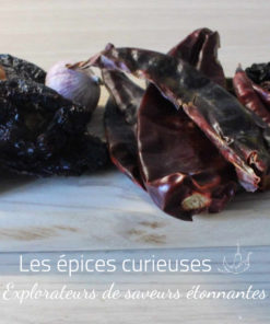 Assortiement de piment pour la sauce Enchilada - Les épices curieuses