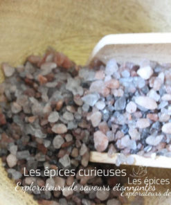 Sel des gastronomes - Les épices curieuses