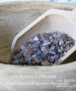 Sel des gastronomes - Les épices curieuses