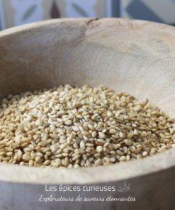 Sésame doré en grains - Les épices curieuses