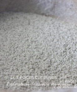 Sucre à la menthe - Les épices curieuses