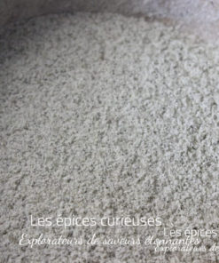 Sucre à la menthe - Les épices curieuses