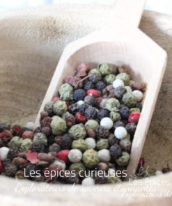 Assemblage cinq baies - Les épices curieuses