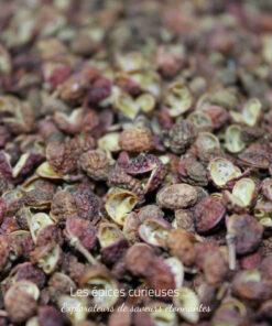 Gros plan de grains de poivre de Sichuan séchés, connus pour leur saveur unique et légèrement anesthésiante.