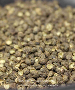 Grains de poivre de Sichuan séchés, utilisés pour parfumer les plats asiatiques avec une saveur unique et un picotement subtil.