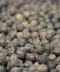 Grains de poivre noir en gros plan, épice aromatique essentielle pour relever vos plats culinaires.