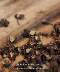 Baie des Bataks ou Baie de Samosir - Les épices curieuses