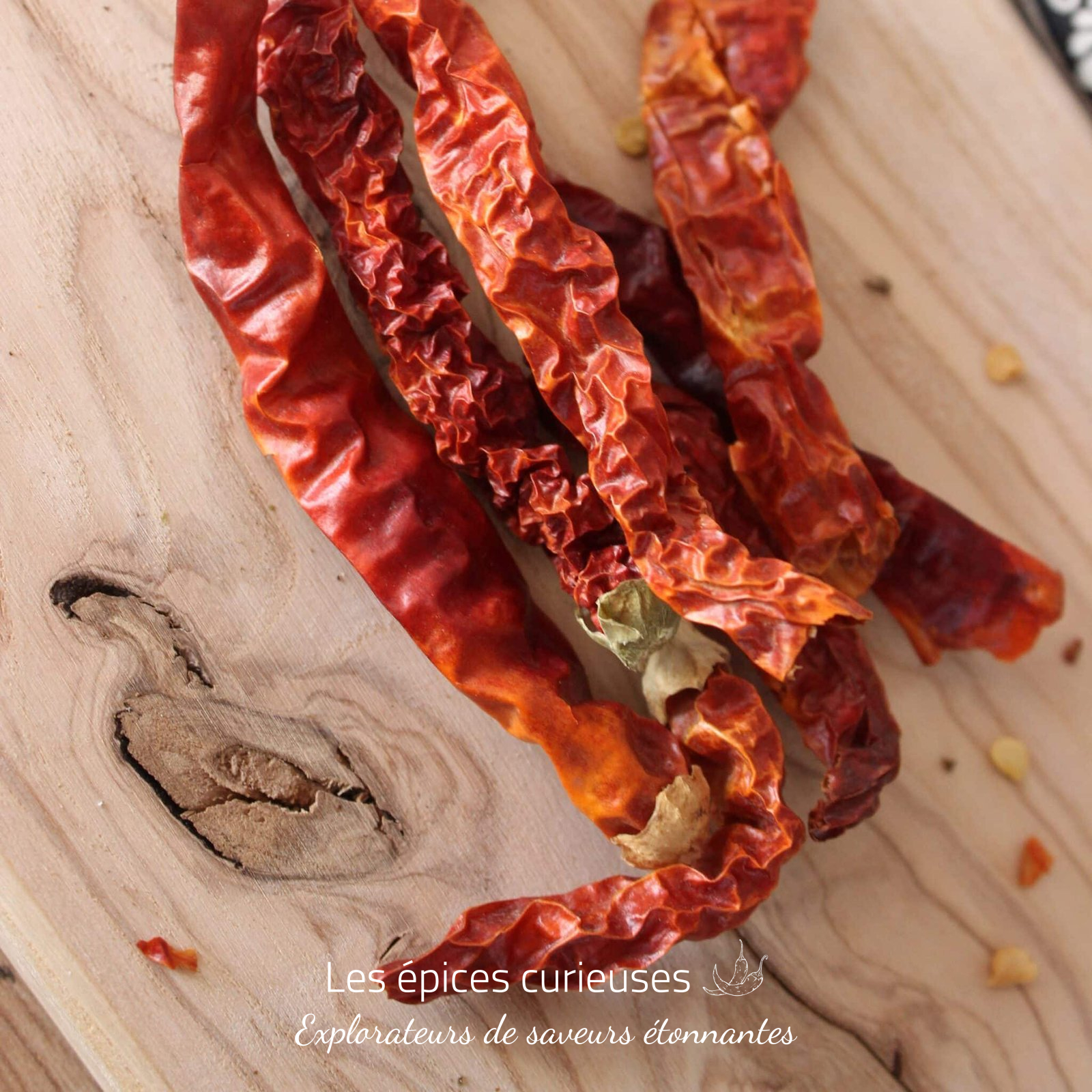 Corne de Xian – Les épices curieuses Corne de Xian - Les épices curieuses