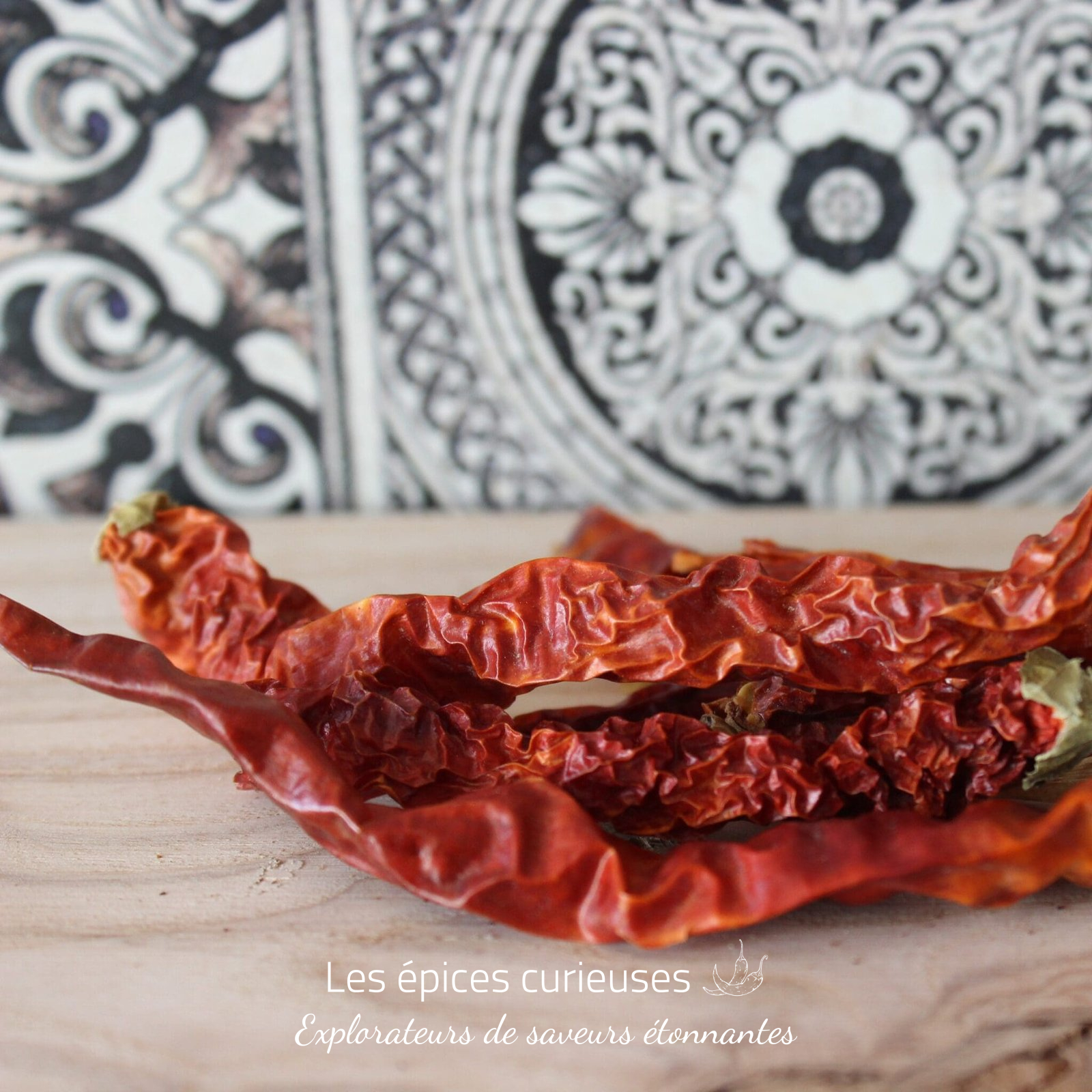 Corne de Xian – Les épices curieuses Corne de Xian - Les épices curieuses