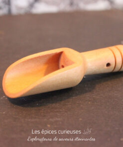 Cuillère à sel en bambou de 8 cm - Les épices curieuses