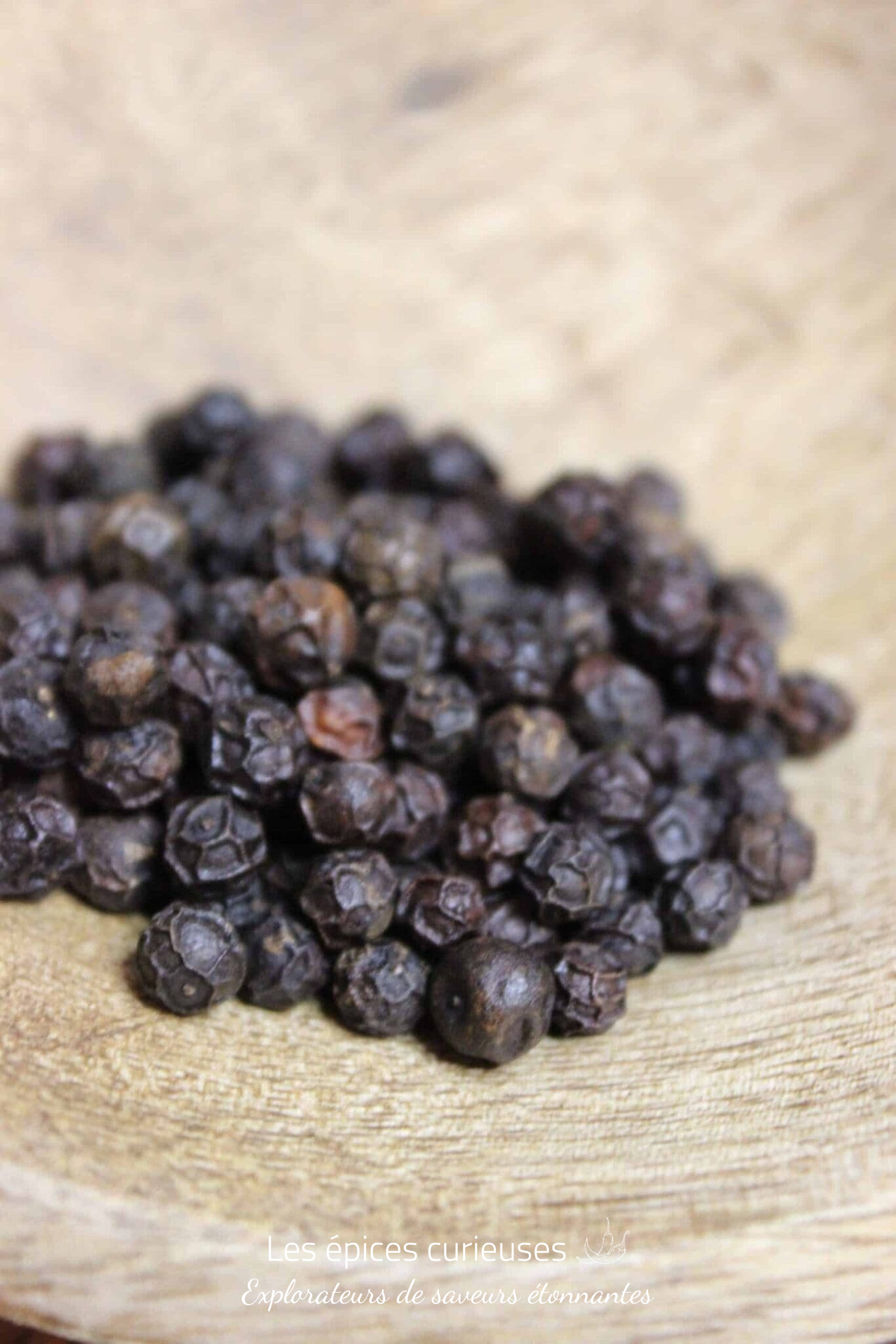 Poivre Kampot rouge foncé – PP – Les épices curieuses Poivre Kampot rouge foncé - PP - Les épices curieuses