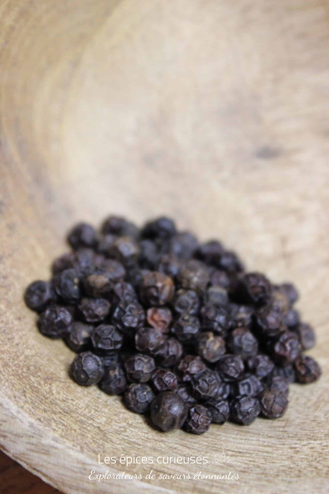 Poivre Kampot rouge foncé – PP – Les épices curieuses Poivre Kampot rouge foncé - PP - Les épices curieuses