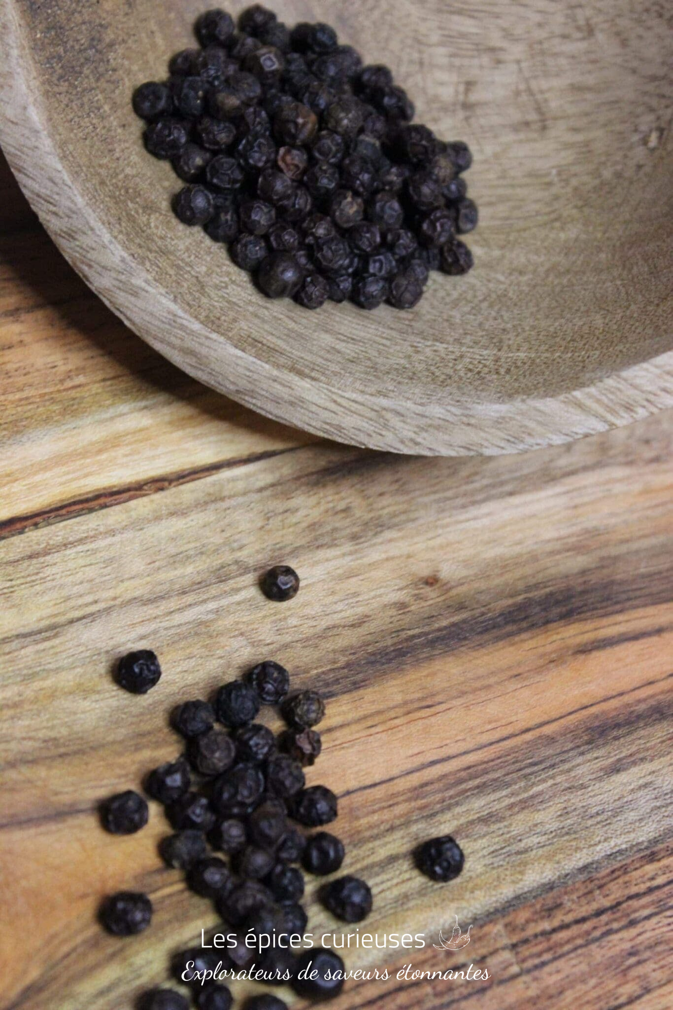 Poivre Kampot rouge foncé – PP – Les épices curieuses Poivre Kampot rouge foncé - PP - Les épices curieuses