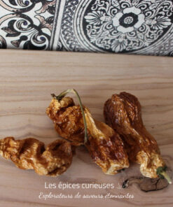 Madame Jeannette - Les épices curieuses