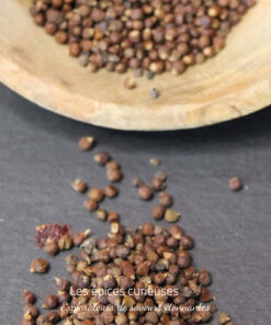 Maniguette ou Graines de paradis ou Piment - Les épices curieuses