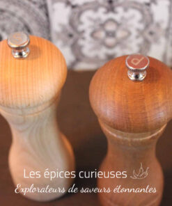 Duo de moulins Sel et Poivre - Les épices curieuses