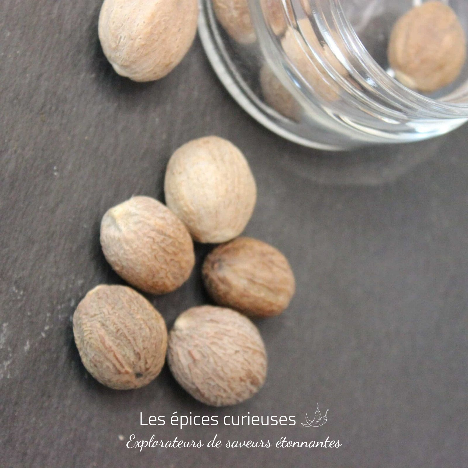 Noix de muscade – Les épices curieuses (1) Noix de muscade - Les épices curieuses