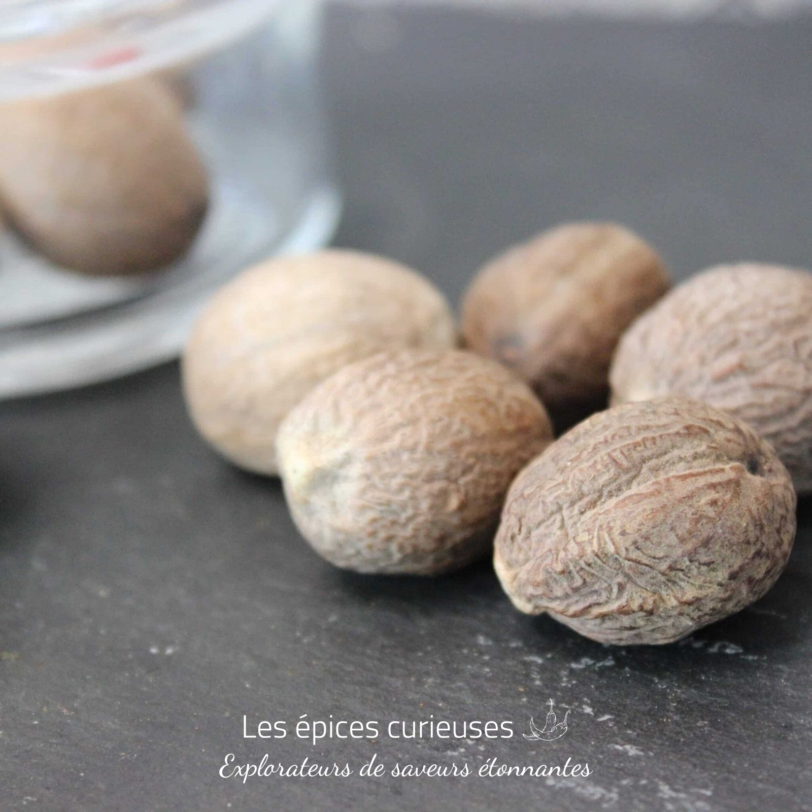 Noix de muscade – Les épices curieuses Noix de muscade - Les épices curieuses