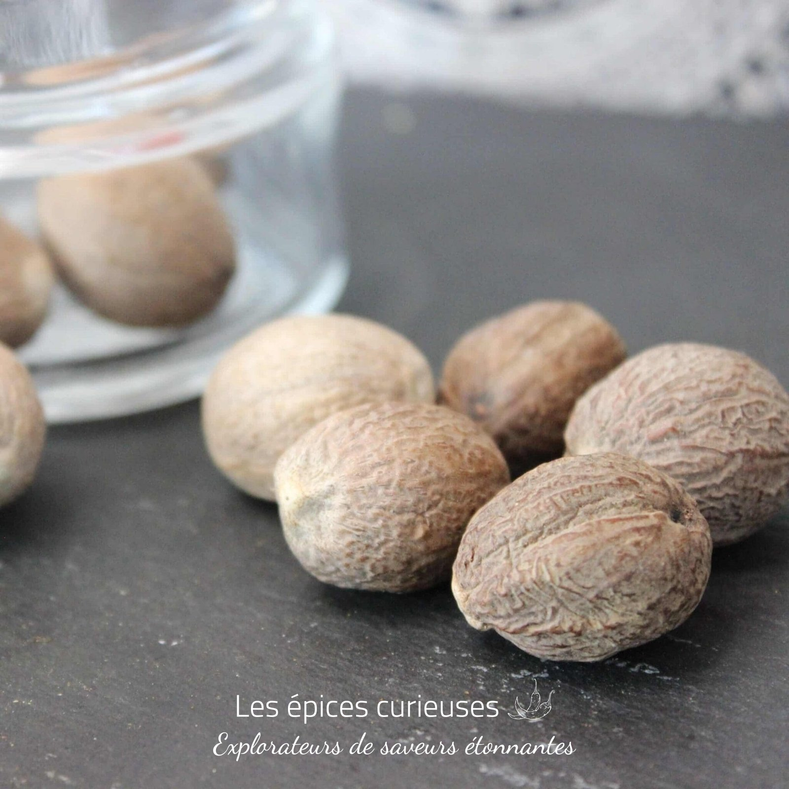 Noix de muscade – Les épices curieuses Noix de muscade - Les épices curieuses