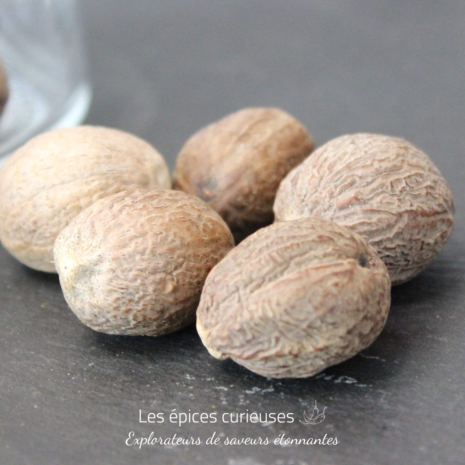 Noix de muscade – Les épices curieuses (4) Noix de muscade - Les épices curieuses