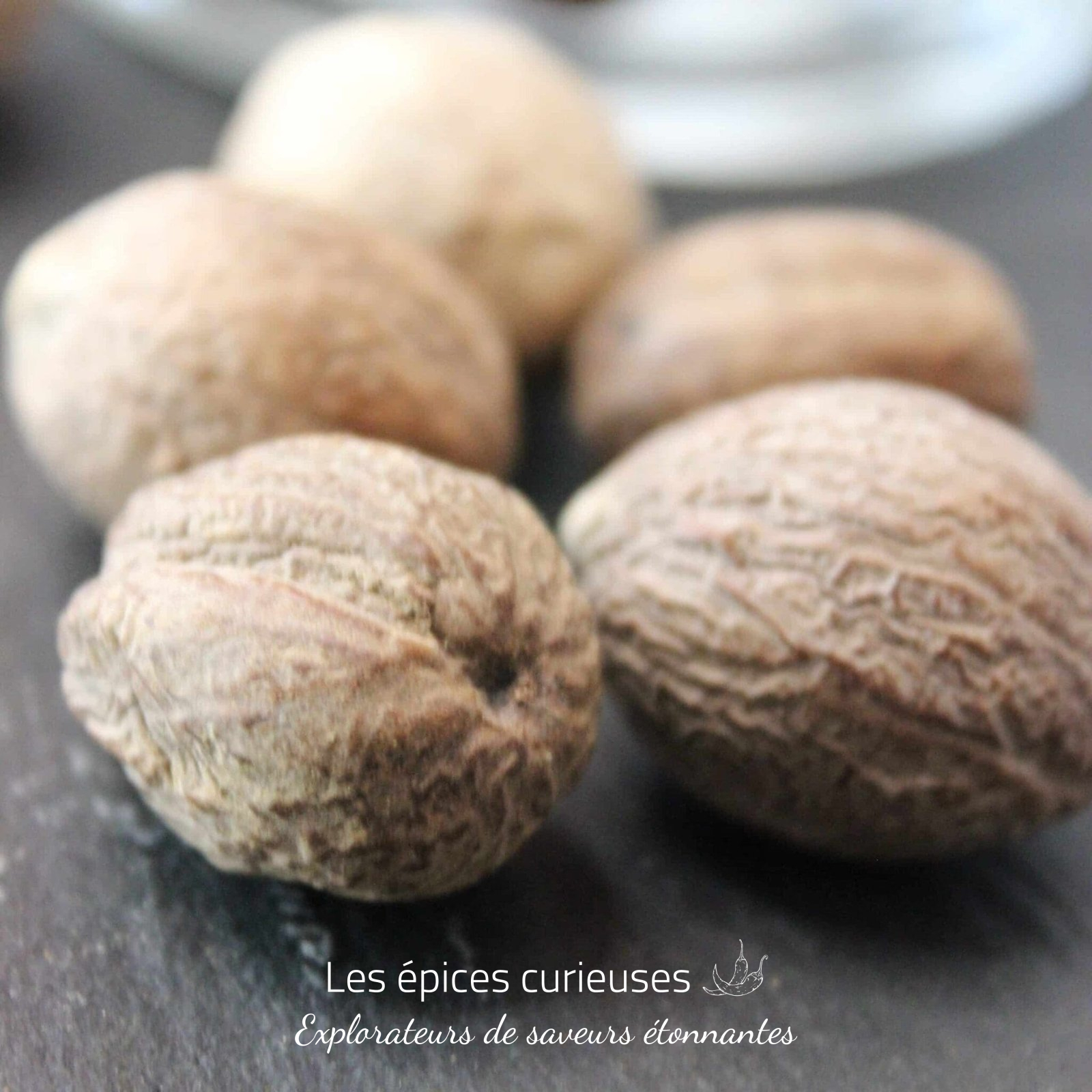 Noix de muscade de Madagascar entière – Les épices curieuses Noix de muscade de Madagascar entière - Les épices curieuses