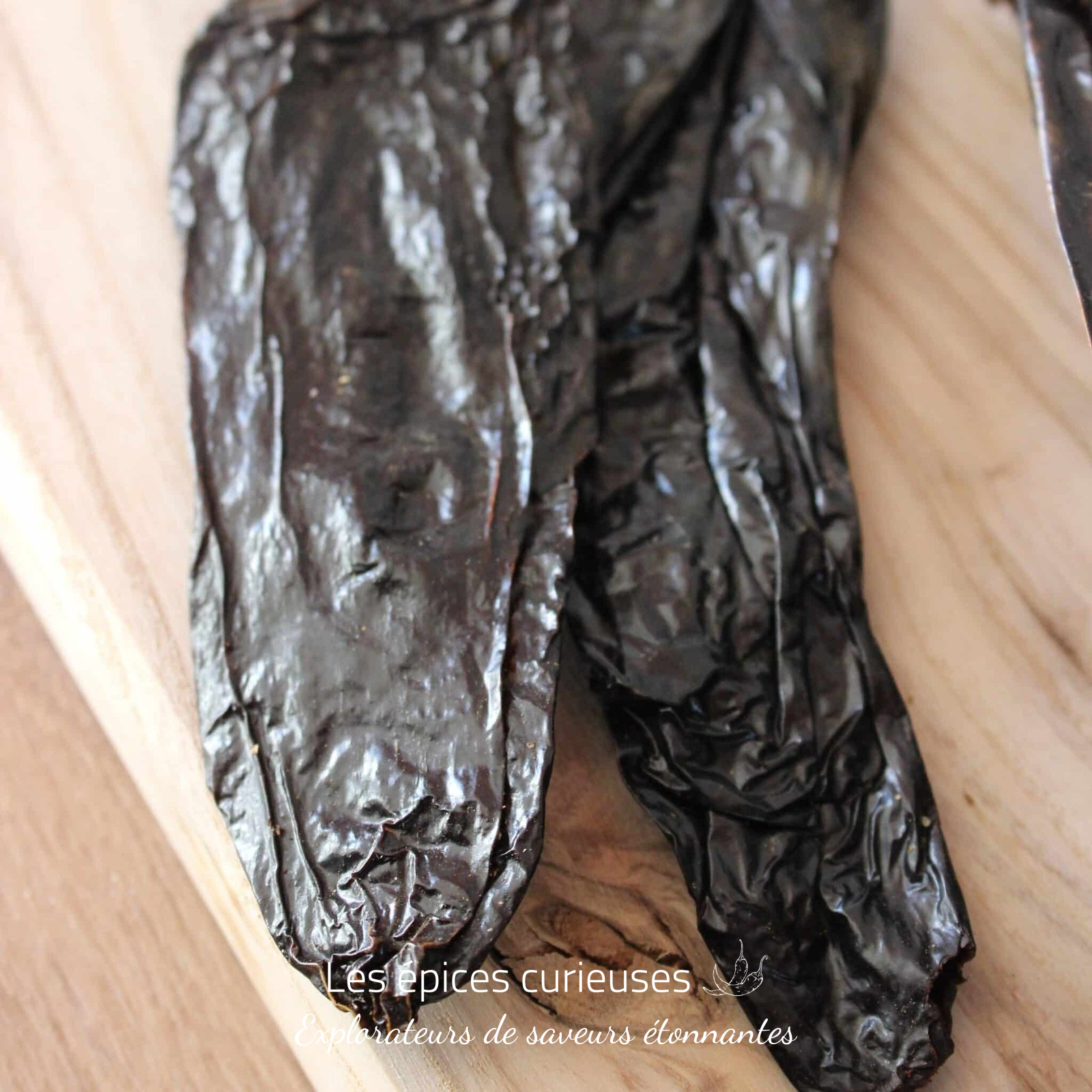 Pasilla – Les épcies curieuses Pasilla - Les épcies curieuses