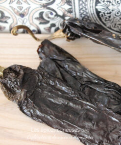 Pasilla - Les épcies curieuses