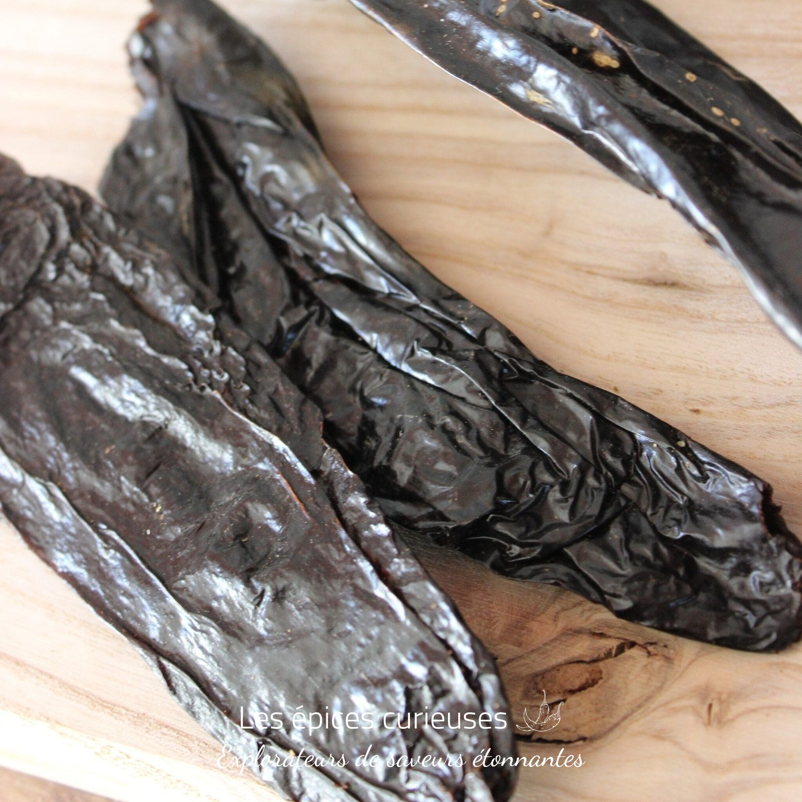 Pasilla – Piment entier et séché – Les épices curieuses Pasilla - Piment entier et séché - Les épices curieuses
