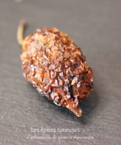 Piment Habanero - Les épices curieuses