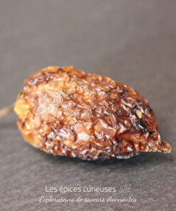 Piment Habanero - Les épices curieuses