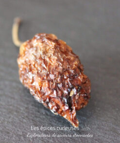 Piment Habanero - Les épices curieuses