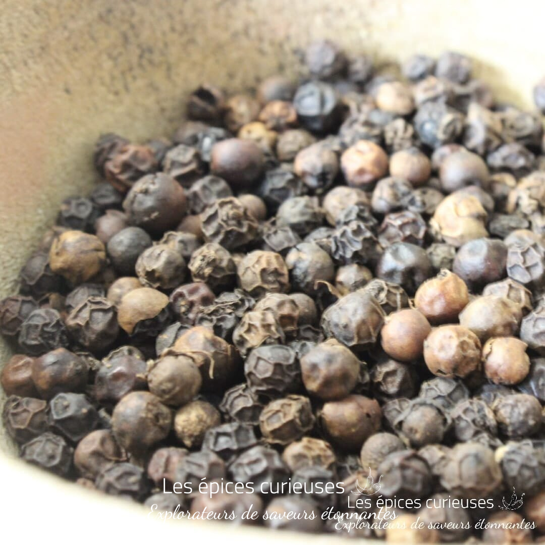 Poivre indien des montagnes – Les épices curieuses Poivre indien des montagnes - Les épices curieuses