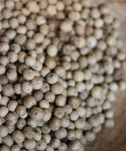 Poivre Kampot Blanc - PP - Les épices curieuses