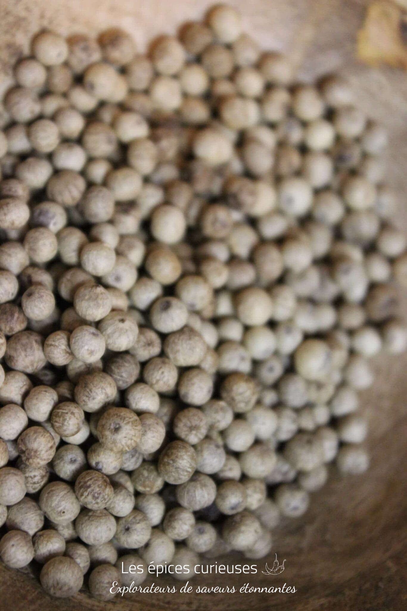 Poivre Kampot Blanc – PP – Les épices curieuses Poivre Kampot Blanc - PP - Les épices curieuses