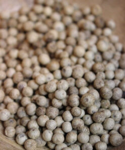 Poivre Kampot Blanc - PP - Les épices curieuses