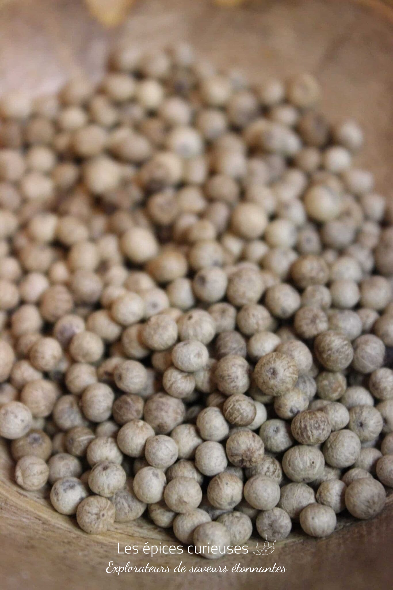 Poivre Kampot Blanc – PP – Les épices curieuses Poivre Kampot Blanc - PP - Les épices curieuses