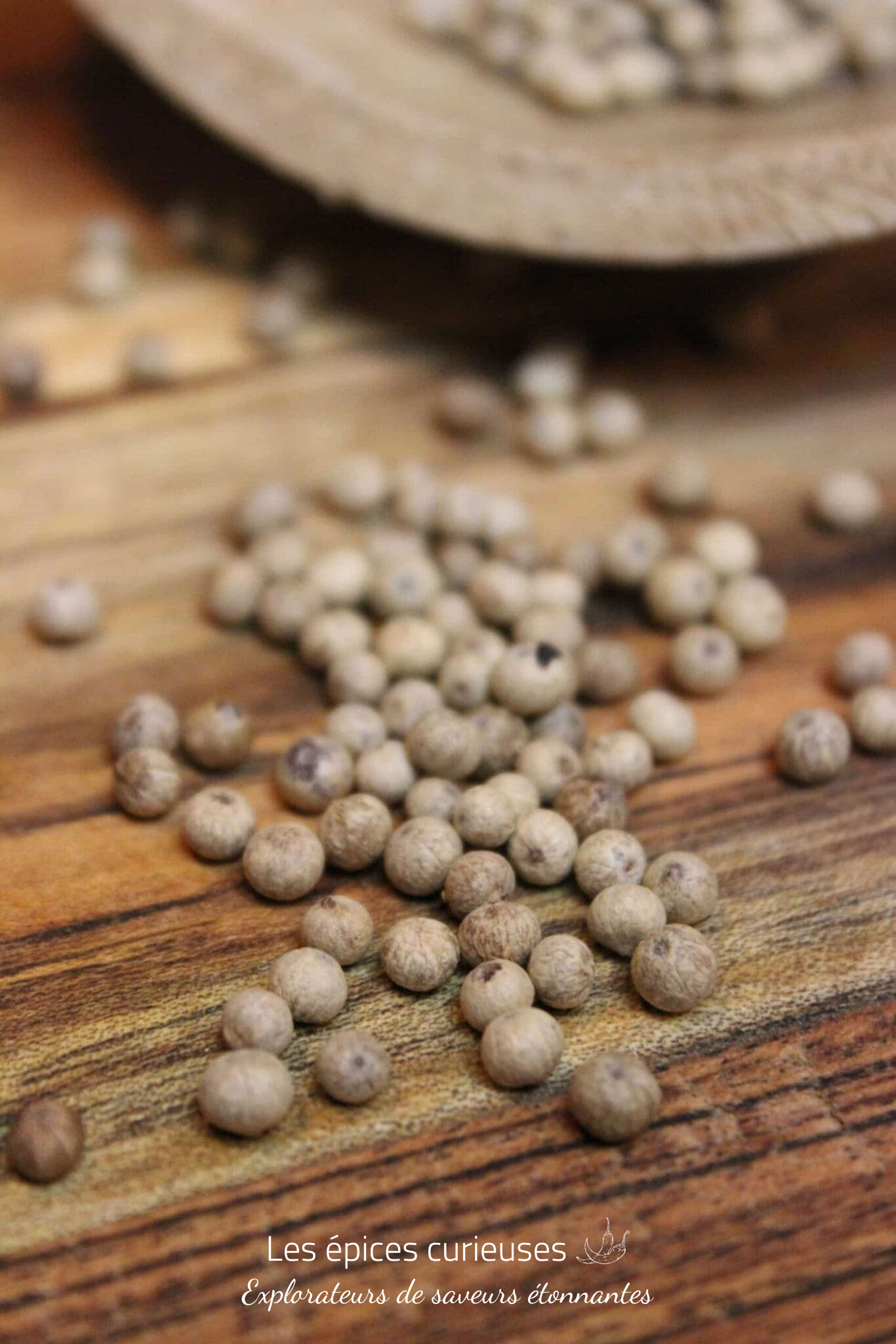 Poivre blanc de Kampot IGP Bio – Les épices curieuses Poivre blanc de Kampot IGP Bio - Les épices curieuses